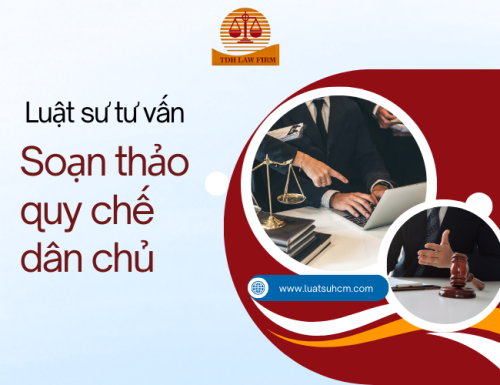 luat su tu van soạn thao quy che dan chu