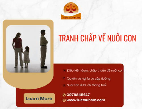 tranh cháp nuôi con