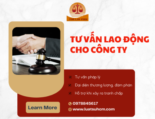 tư van lao dong cho cong ty
