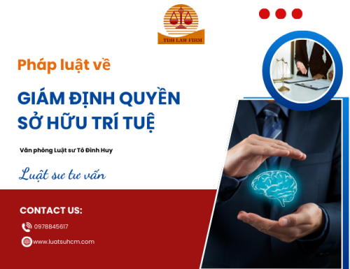 Dịch vụ tư vấn pháp luật giám định quyền sở hữu trí tuệ