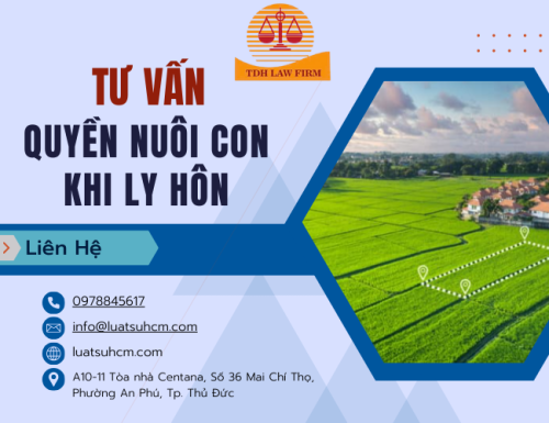 Tư vấn về quyền nuôi con khi ly hôn