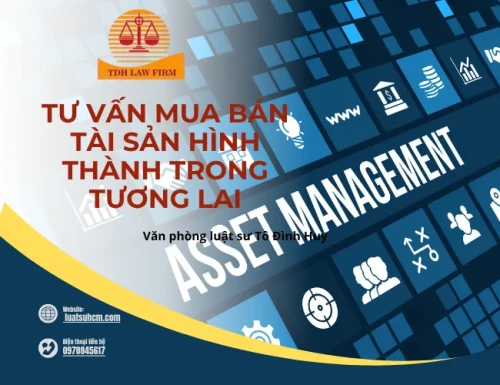 Tư vấn mua bán tài sản hình thành trong tương lai