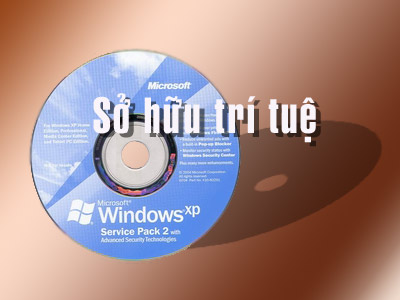 Dịch vụ tư vấn tra cứu thông tin về quyền sở hữu trí tuệ