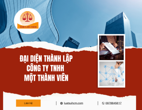 Đại diện thành lập Công ty TNHH một thành viên
