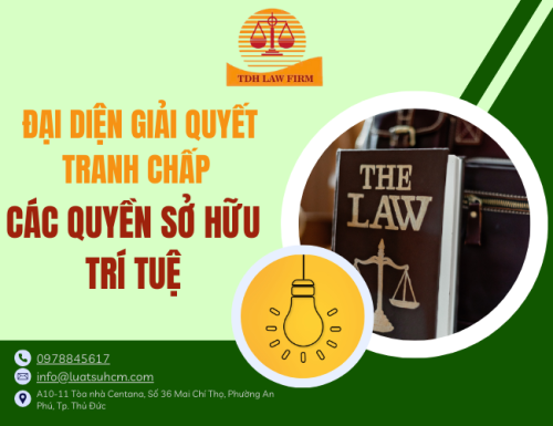 Đại diện giải quyết tranh chấp các quyền sở hữu trí tuệ