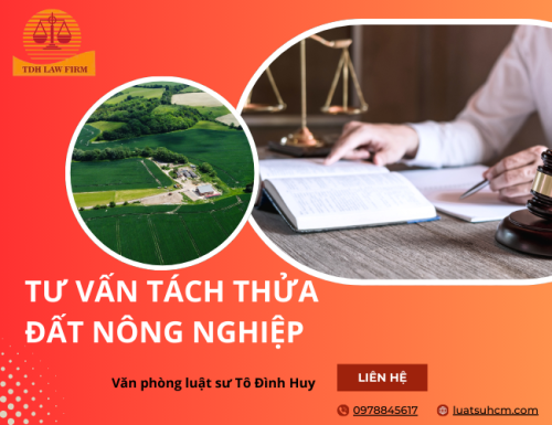 tư vấn tách thửa đất nông nghiệp