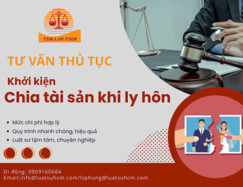 Tu van thuc tuc khoi kien chia tai san ly hon