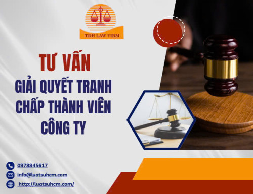 Tư vấn giải quyết tranh chấp thành viên công ty