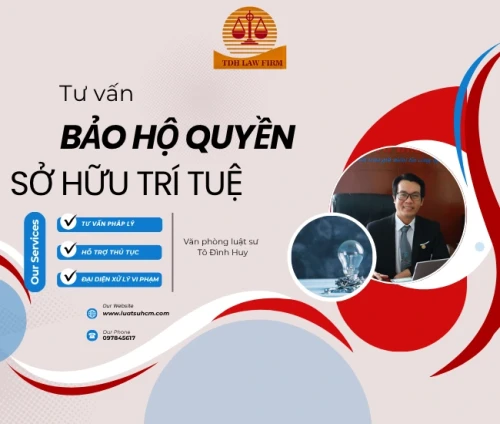 Tư vấn về bảo hộ các quyền sở hữu trí tuệ