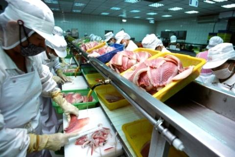 Điều kiện, thủ tục thực hiện hoạt động nhập khẩu, kinh doanh thực phẩm tươi sống