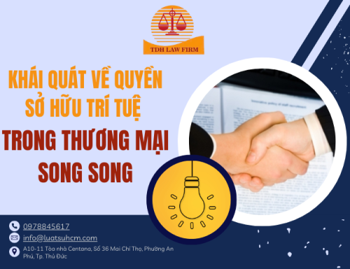 Khái quát về quyền sở hữu trí tuệ trong thương mại song song