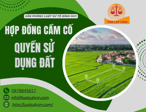 TRANH CHẤP HỢP ĐỒNG CẦM CỐ QUYỀN SỬ DỤNG ĐẤT