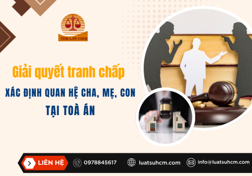 Giải quyết tranh chấp xác định quan hệ cha, mẹ, con tại Toà án