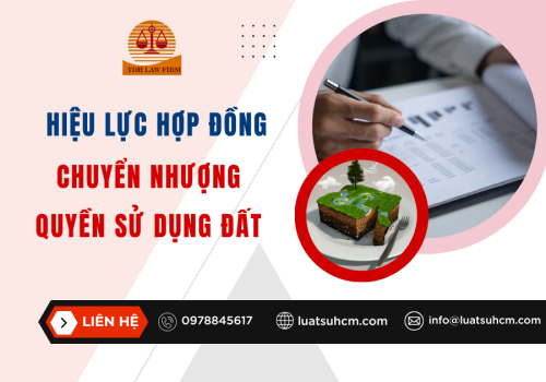 Hiệu lực hợp đồng chuyển nhượng quyền sử dụng đất