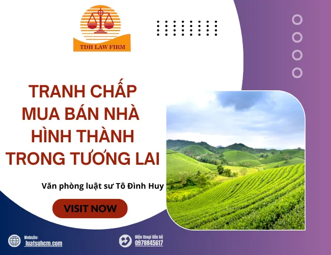 tranh chấp mua bán nhà HTTTL