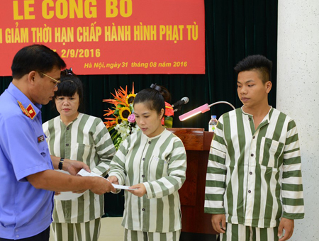 Luật sư tư vấn về ân xá, đại xá, đặc xá