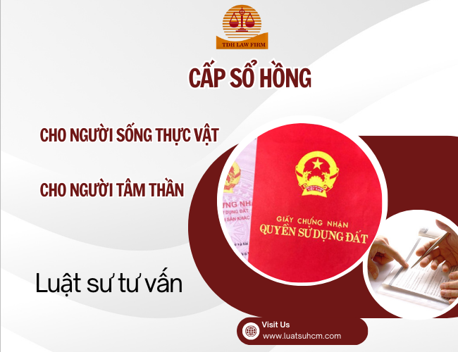 Dịch vụ cấp giấy chứng nhận cho người bị tâm thần, người sống thực vật