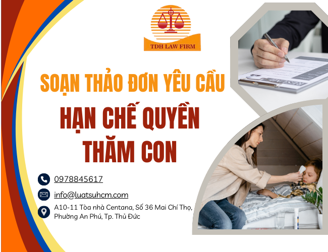 soạn thảo đơn yêu cầu hạn chế quyền thăm con