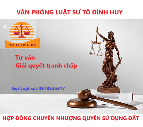 Tranh chấp hợp đồng chuyển nhượng quyền sử dụng đất