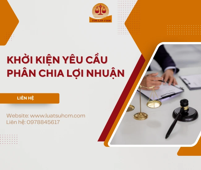 Khởi kiện yêu cầu phân chia lợi nhuận - các vấn đề cần lưu ý