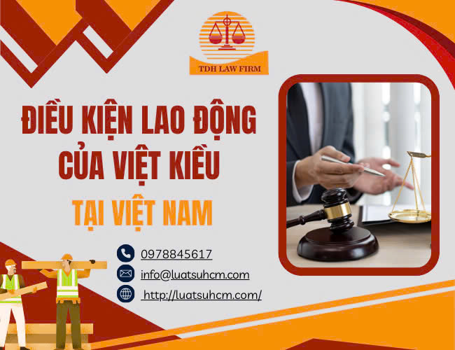 Điều kiện lao động của Việt Kiều tại Việt Nam