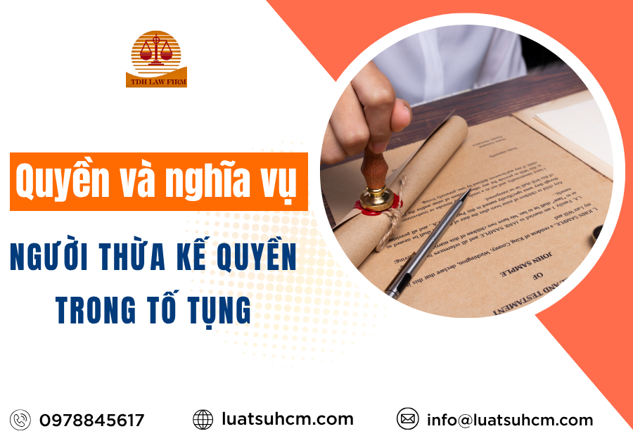 Người kế thừa quyền trong tố tụng quyền và nghĩa vụ